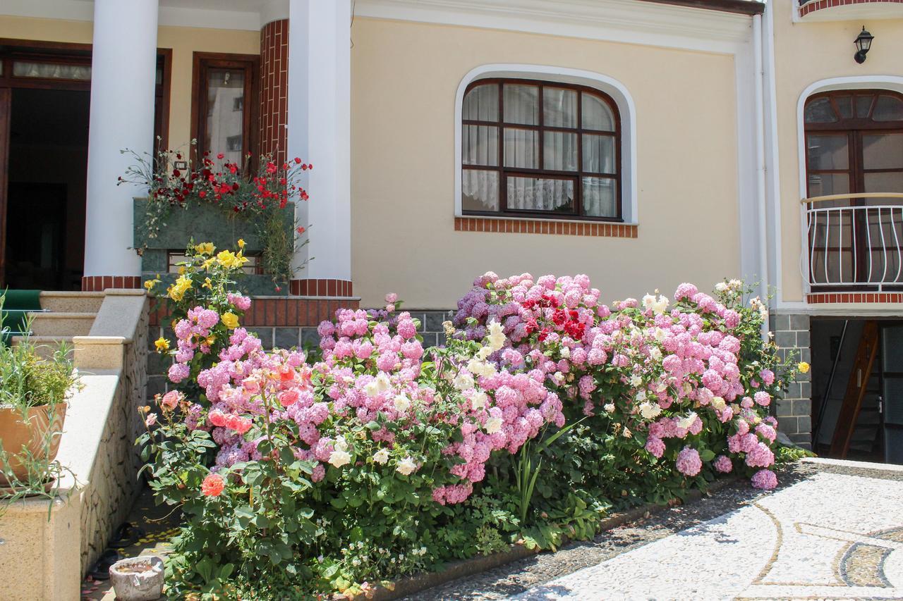 Vila Topciu Pogradec Exterior foto